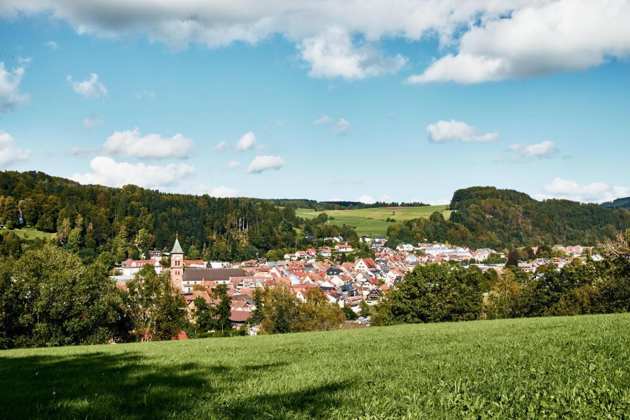 Naturferienwohnung Weitsicht Elzach Exterior photo